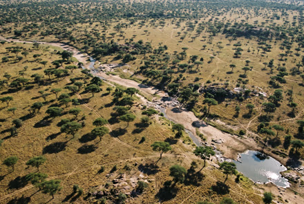 Bushveld and a waterhole in a private reserve